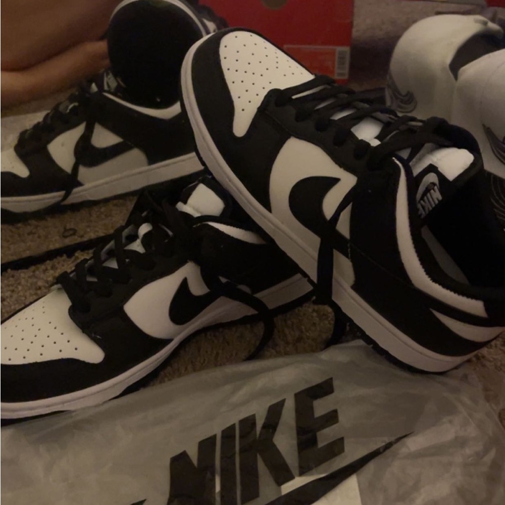 NWT PANDA DUNKS